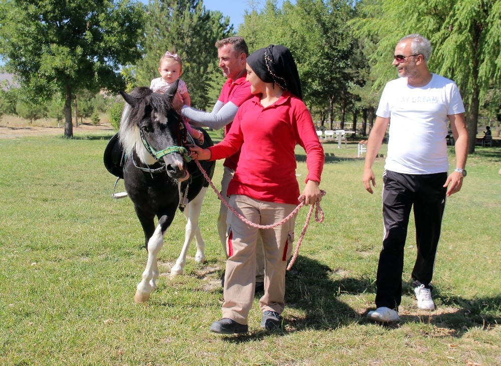 Elazığ’da at sevgisi, ücretsiz at binme ile aşılanıyor
