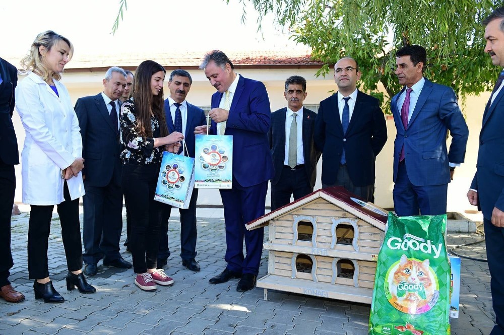Sosyal medyadan başkan Çakır'a ulaşan öğrenci kedilerini kurtardı