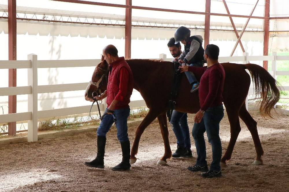Malatya'da Engelli çocuklara at üstünde terapi