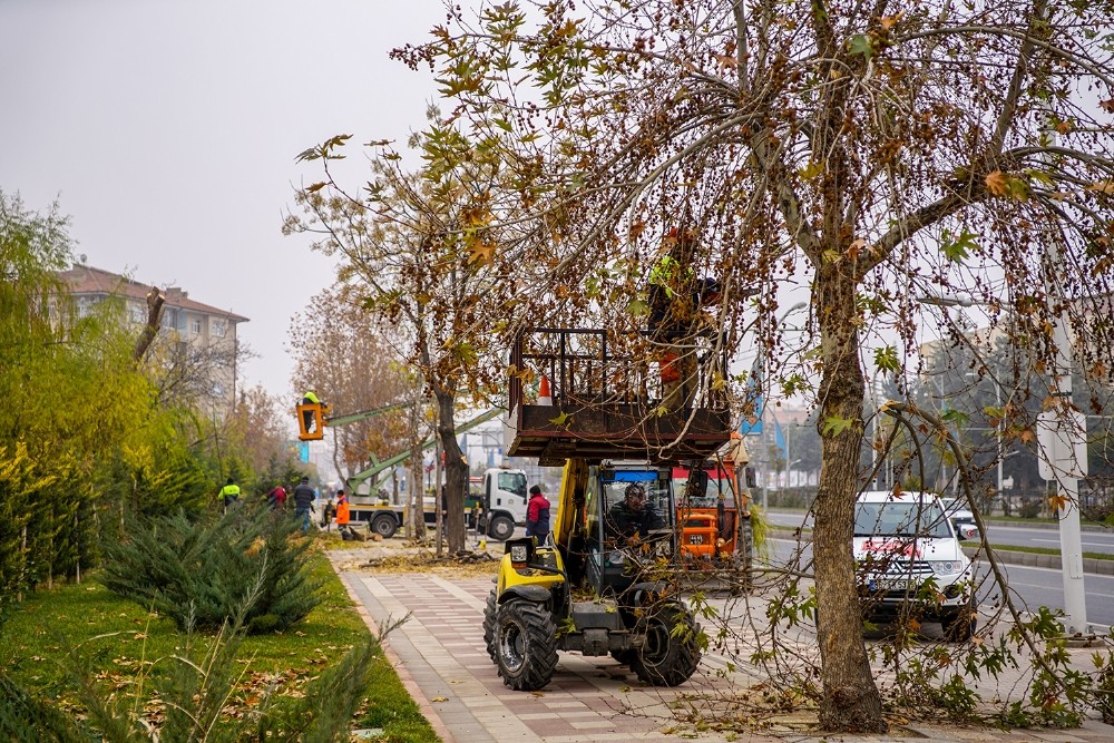 Malatya’da ağaç budama çalışmaları devam ediyor
