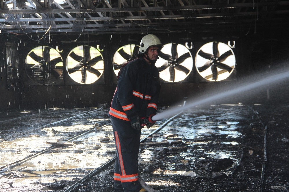 Elazığ’da çiftlik yangını: 22 bin civciv telef oldu
