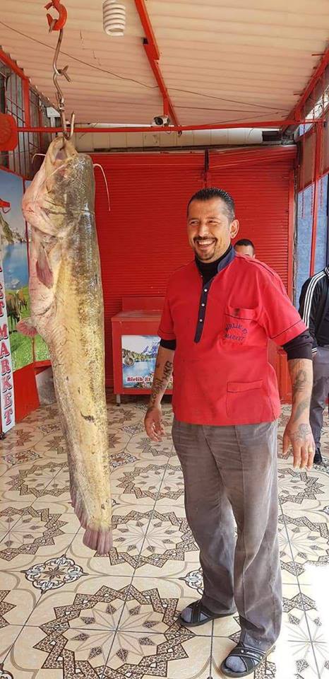 (Özel haber) Oltayla 45 kiloluk yayın balığı yakaladı
