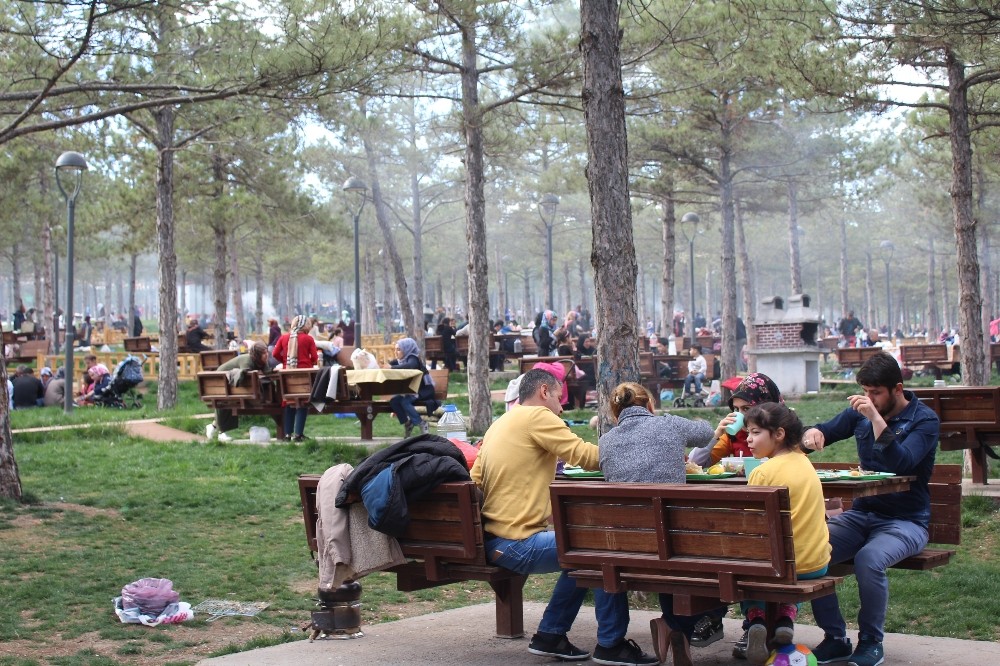 Elazığ’da bahar havası piknikçileri sevindirdi
