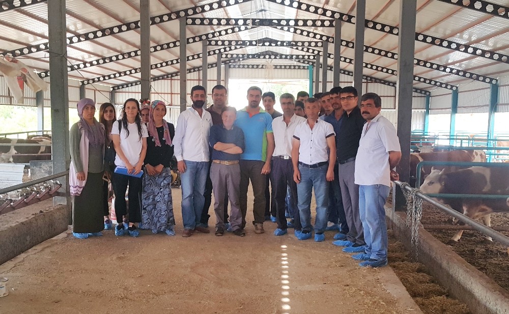 Tut ilçesinde süt sığırı yetiştiriciliği kursu verildi
