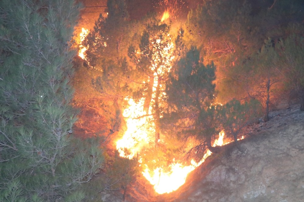 Sivas’taki orman yangını kontrol altına alındı
