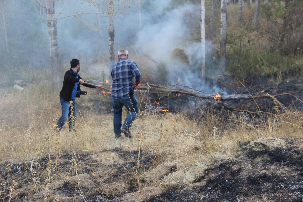 Yangını ormana sıçramadan gazeteciler söndürdü
