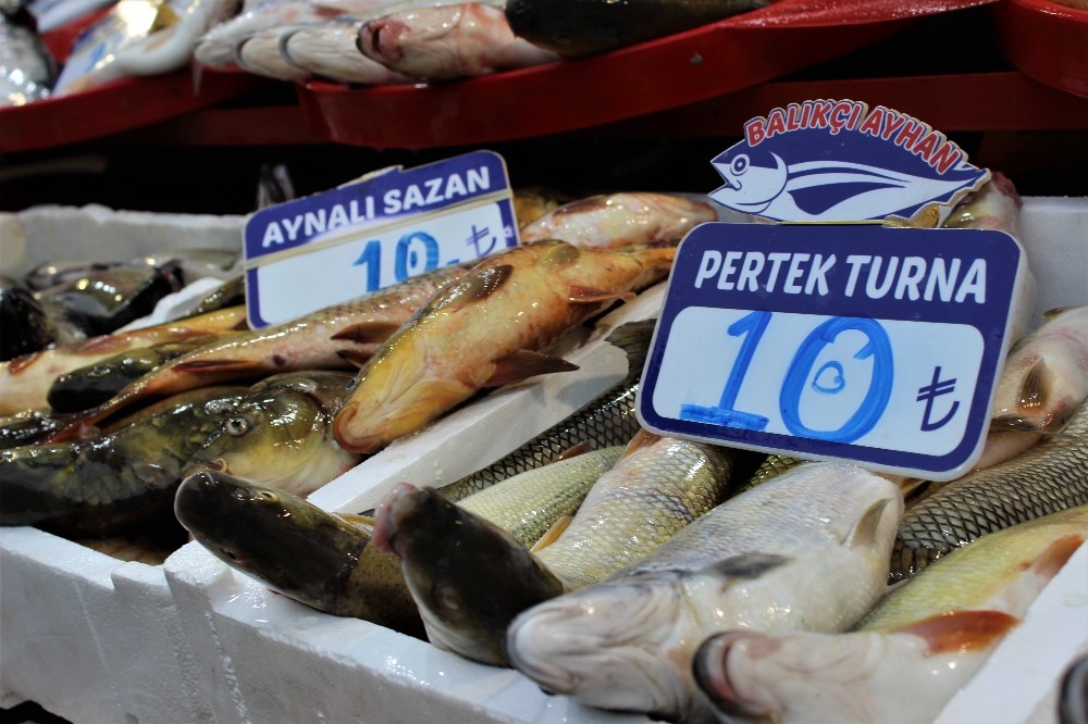 Elazığ’da balık bereketi, hamsiden bile ucuz
