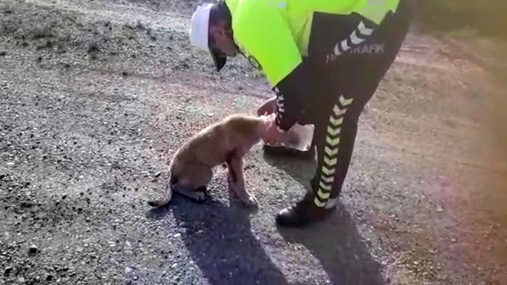 Kafasına geçirilen bidonla dolaşan köpeği polis kurtardı
