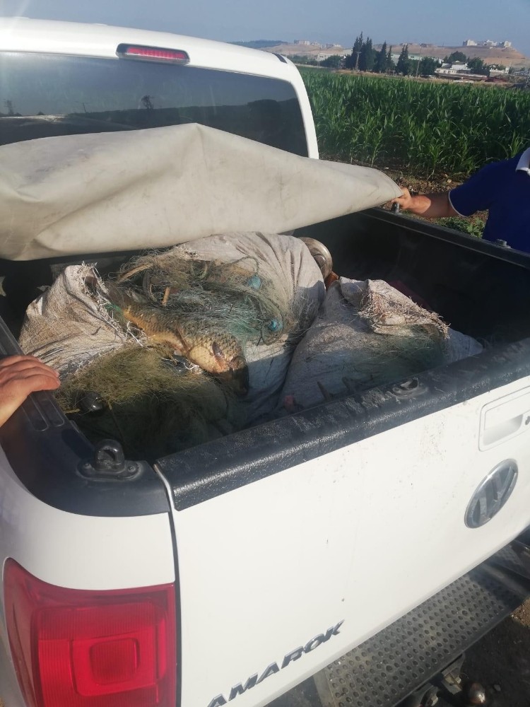 Kaçak balık avlayan 2 kişiye bin 635 TL para cezası
