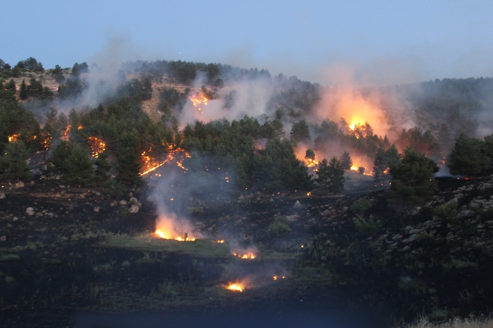 Orman yangını güçlükle kontrol altına alındı
