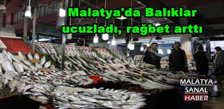 Malatya'da Balıklar  ucuzladı, rağbet arttı