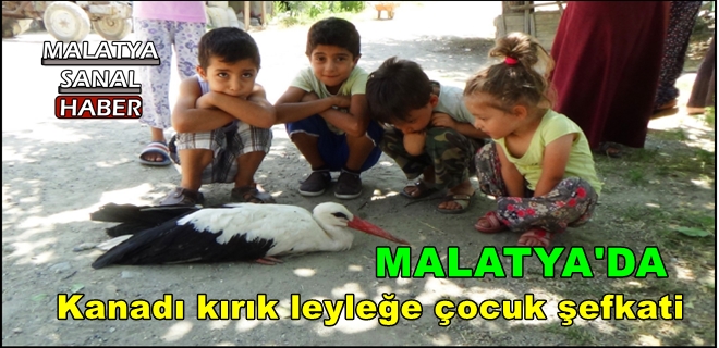 Malatya'da Kanadı kırık leyleğe çocuk şefkati