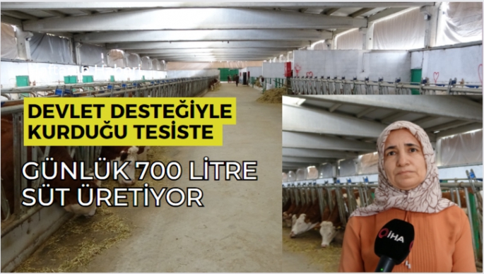 Devlet desteğiyle kurduğu tesiste günlük 700 litre süt üretiyor