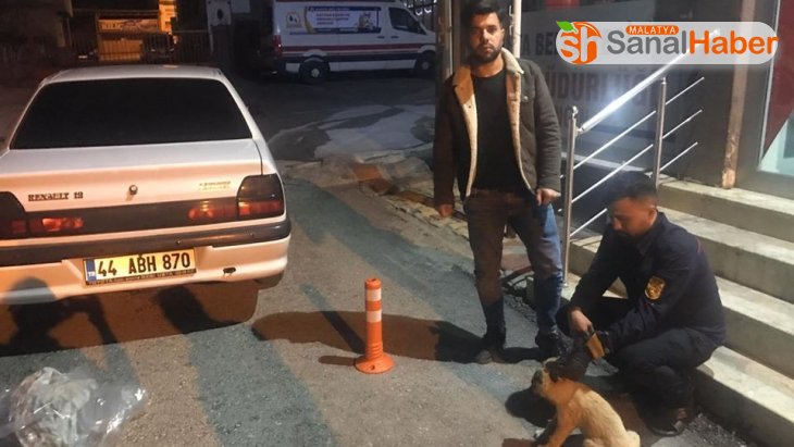 Duyarlı vatandaş yaralı köpeği belediyeye teslim etti