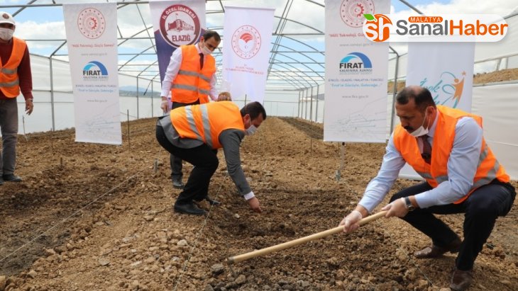 Elazığ'da çiftçiye 2 milyon fide desteği için üretim