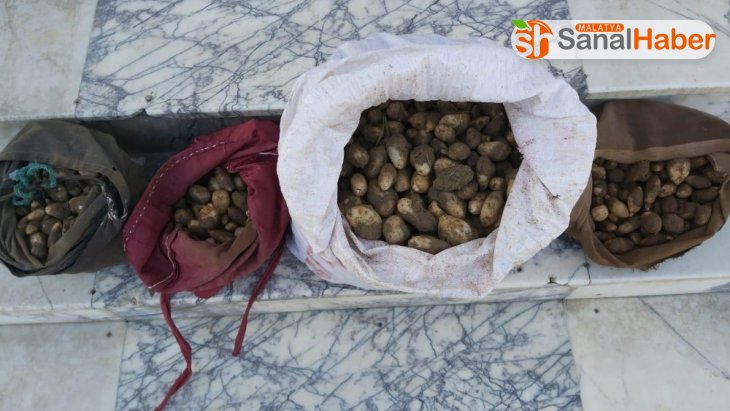 Elazığ'da Salep soğanı toplayan 4 kişiye 307 bin TL'lik rekor ceza