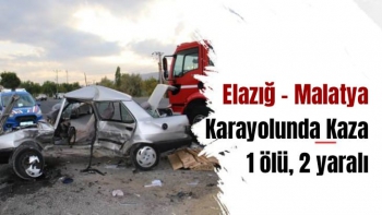 Elazığ - Malatya Karayolunda Kaza  1 ölü, 2 yaralı