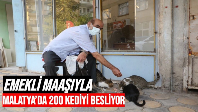 Emekli maaşıyla Malatya’da 200 kediyi besliyor