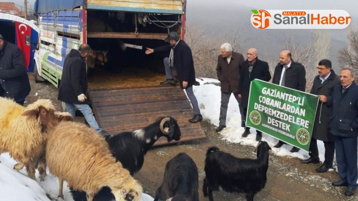 Gaziantepli çobanlardan Malatyalı depremzedelere anlamlı destek