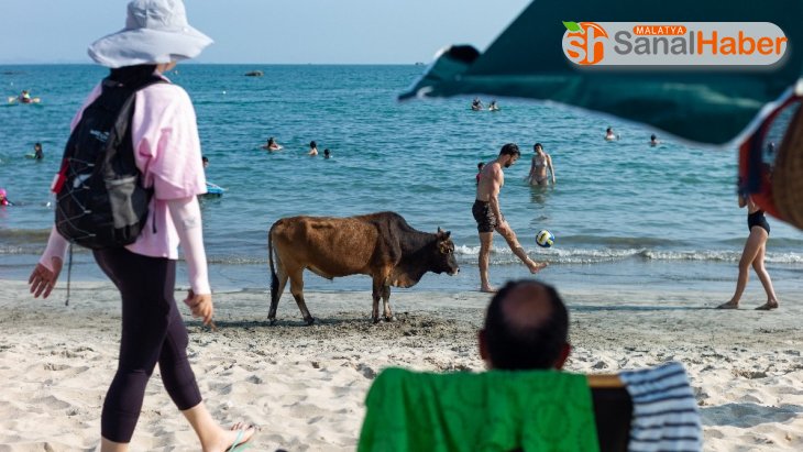 Hong Kong'da korona virüse rağmen halk, plajlara akın etti