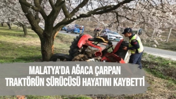 Malatya'da Ağaca çarpan traktörün sürücüsü hayatını kaybetti