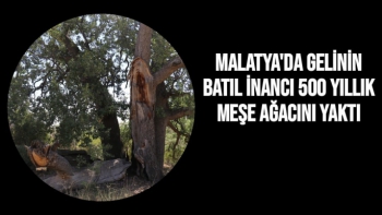 Malatya'da Gelinin batıl inancı 500 yıllık meşe ağacını yaktı