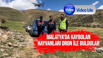 Malatya'da Kaybolan hayvanları dron ile buldular