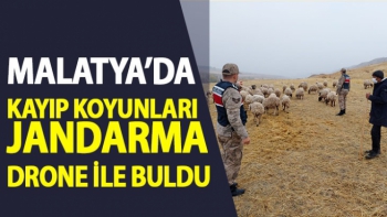 Malatya'da Kayıp koyunları jandarma drone ile buldu
