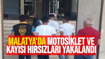 Malatya'da Motosiklet ve kayısı hırsızları yakalandı