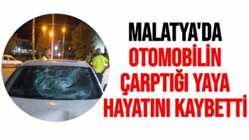 Malatya'da Otomobilin çarptığı yaya hayatını kaybetti