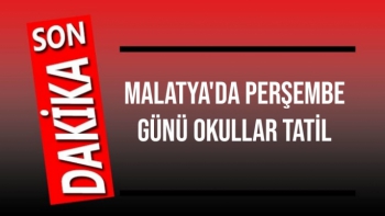 Malatya'da Perşembe günü okullar tatil