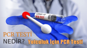 Yolculuk İçin PCR Testi