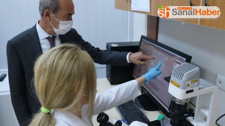 Kanser tedavisinde yapay zeka uygulaması, Türk bilim adamları geliştirdi