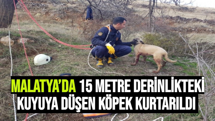 Malatya’da 15 metre derinlikteki kuyuya düşen köpek kurtarıldı 