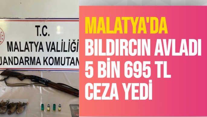 Malatya'da Bıldırcın avladı 5 bin 695 TL ceza yedi