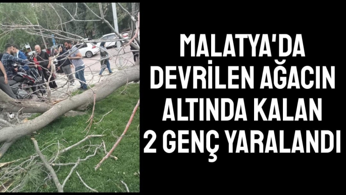 Malatya'da Devrilen ağacın altında kalan 2 genç yaralandı