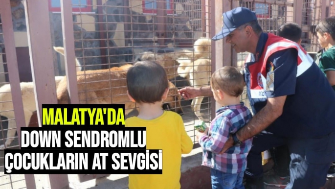 Malatya'da Down Sendromlu çocukların at sevgisi