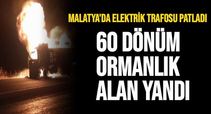 Malatya'da Elektrik trafosu patladı, 60 dönüm ormanlık alan yandı