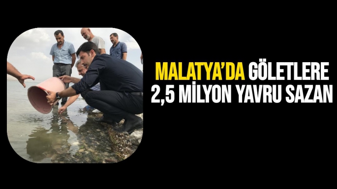 Malatya’da göletlere 2,5 milyon yavru sazan