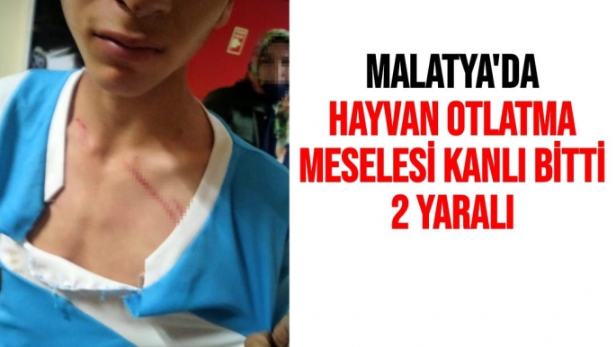 Malatya'da Hayvan otlatma meselesi kanlı bitti: 2 yaralı