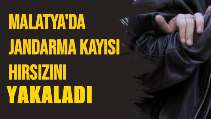 Malatya'da Jandarma Kayısı hırsızını yakaladı