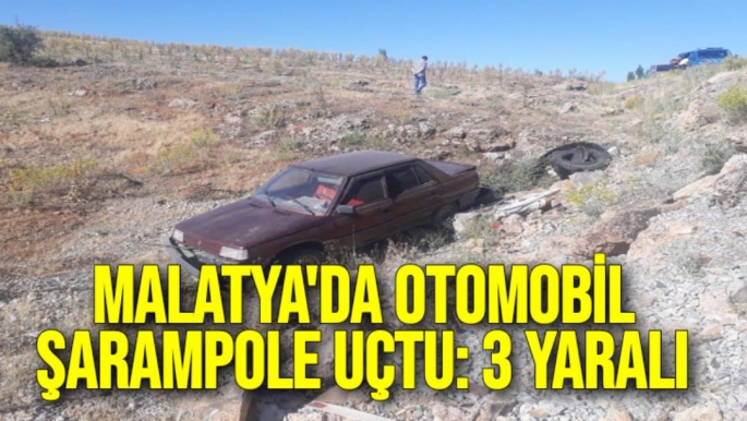 Malatya'da Otomobil şarampole uçtu: 3 yaralı