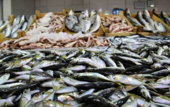 Malatya’da Su ürünleri satanlara sıkı takip