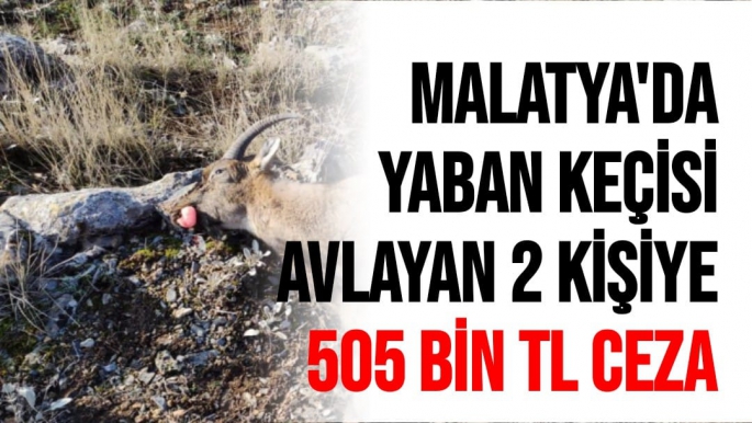 Malatya'da Yaban keçisi avlayan 2 kişiye 505 bin TL ceza
