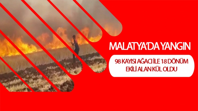 Malatya'da yangın
