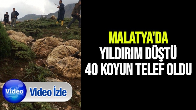 Malatya'da yıldırım düştü 40 koyun telef oldu