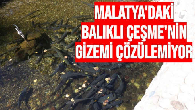 Malatya'daki Balıklı Çeşme'nin gizemi çözülemiyor