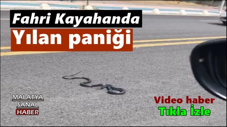 Fahri Kayahan'da yılan paniği