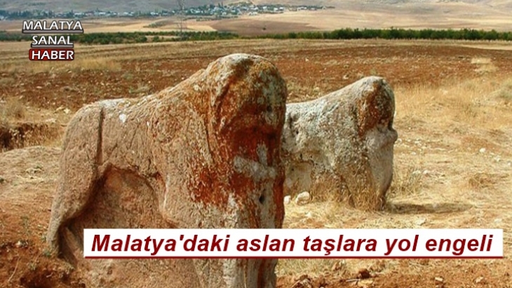 Malatya'daki aslan taşlara yol engeli