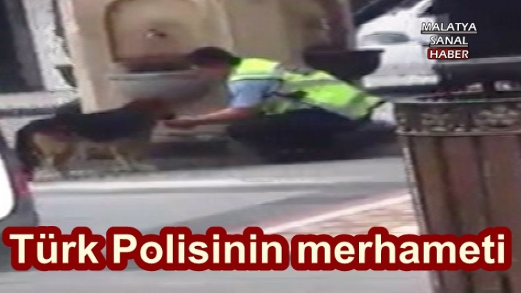 Malatya'da Polis susayan köpeğe eliyle su içirdi